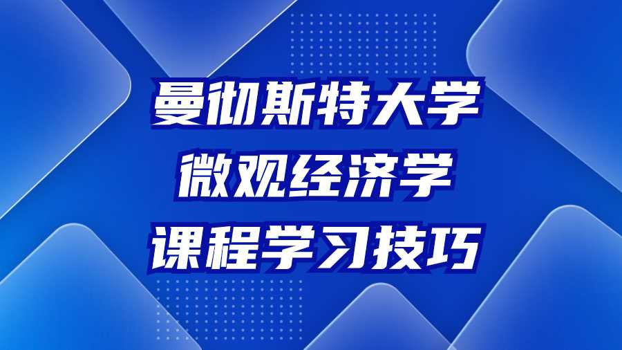 曼彻斯特大学微观经济学课程学习技巧