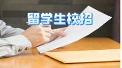 留学生校招攻略：如何高效备战拿下心仪Offer?