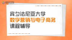 宾夕法尼亚大学数字营销与电子商务课程辅导