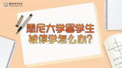 悉尼大学留学生被停学怎么办?