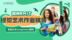 澳洲RMIT视觉艺术专业Assignment作业辅导