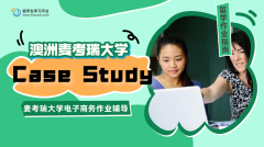 麦考瑞大学电子商务Case Study怎么做?