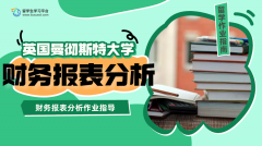 曼彻斯特大学财务报表分析作业指导