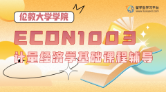 伦敦大学学院ECON1003计量经济学基础课程辅导