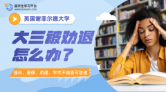 谢菲尔德大学大三被劝退怎么办?