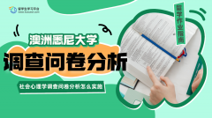 悉尼大学社会心理学调查问卷分析怎么实施?