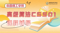 帝国理工学院高级算法CS501课程辅导