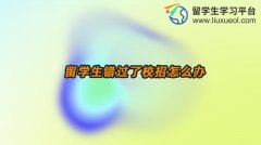 留学生错过了校招怎么办