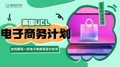 UCL如何撰写一份电子商务项目计划书?