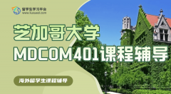 芝加哥大学MDCOM401硕士课程辅导