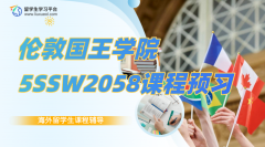 伦敦国王学院5SSW2058本科课程预习辅导