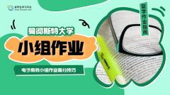 曼彻斯特大学电子商务小组作业高分技巧