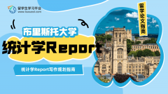 布里斯托大学统计学Report写作规划指南