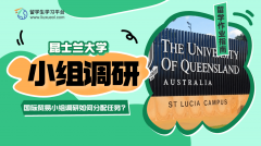 昆士兰大学国际贸易小组调研如何分配任务?