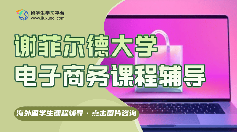 谢菲尔德大学电子商务课程都学什么?