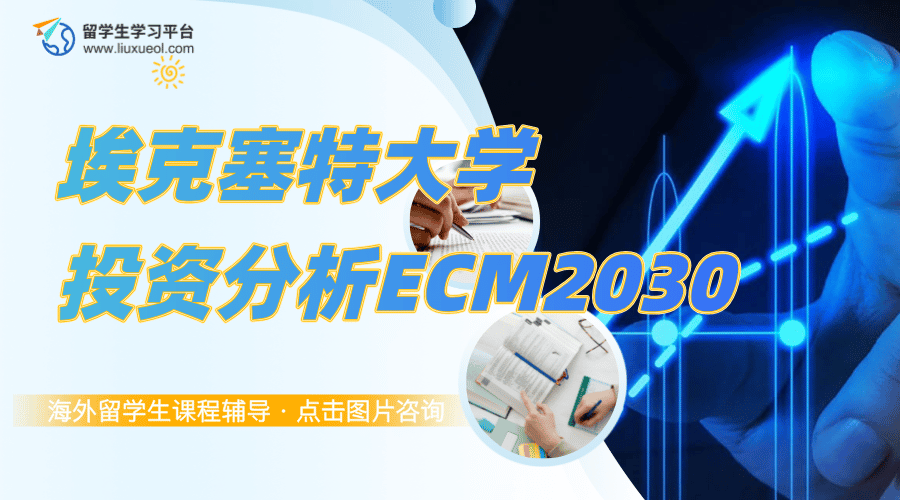 埃克塞特大学投资分析ECM2030课程学习指南