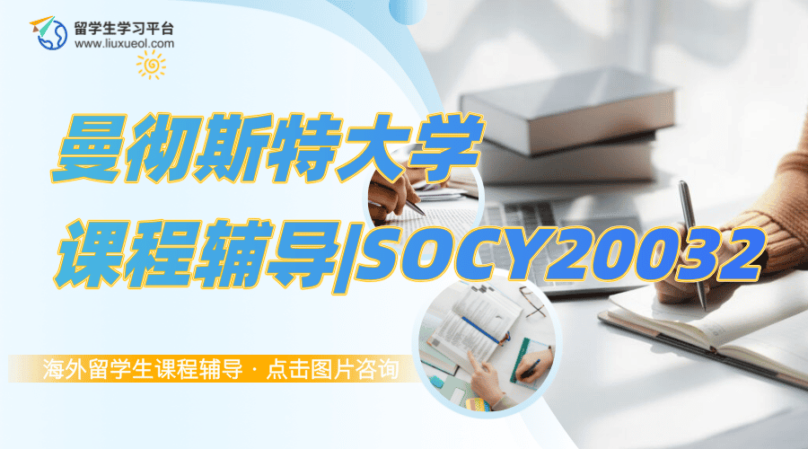 曼彻斯特大学课程辅导|SOCY20032怎么学?