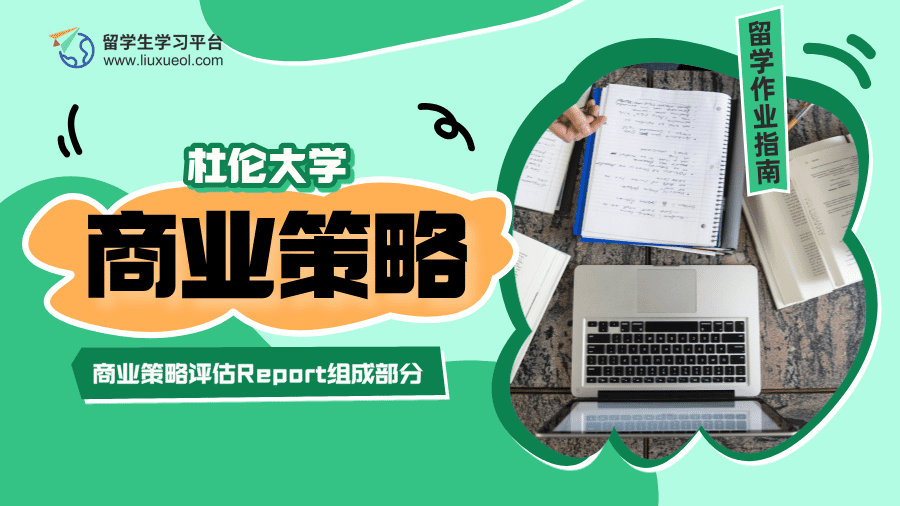 杜伦大学商业策略评估Report由哪些部分组成?