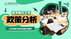 纽卡斯尔大学公共政策分析作业高分辅导