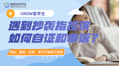 UNSW留学生遇到抄袭指控该如何自证和申诉?