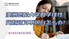 澳洲悉尼大学数学线性代数预习不明白怎么办?