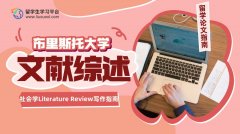 布里斯托大学社会学Literature Review写作指南