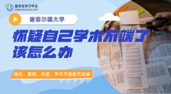 谢菲尔德大学留学怀疑自己学术不端了，该怎么办?