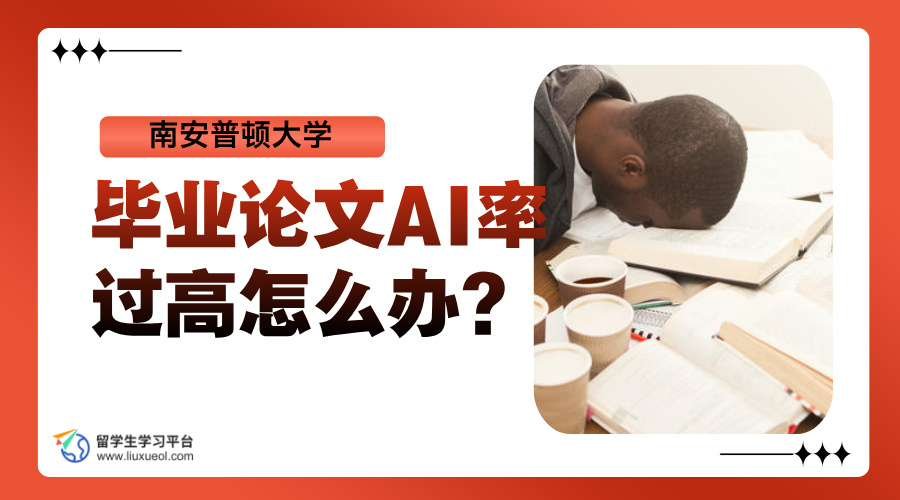南安普顿大学毕业论文AI率过高怎么办?