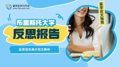 布里斯托大学反思报告高分范文解析