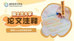 昆士兰大学课程Essay如何添加注释?