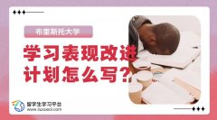 布里斯托大学认可的学习表现改进计划怎么写?