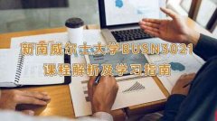 新南威尔士大学BUSN3021课程解析及学习指南